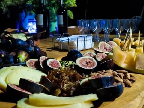 curiosity tour chile